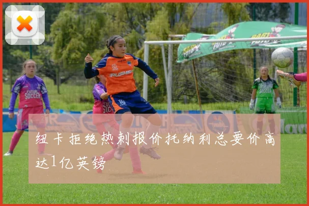 纽卡拒绝热刺报价托纳利总要价高达1亿英镑